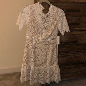 Lace Classic Style Dress